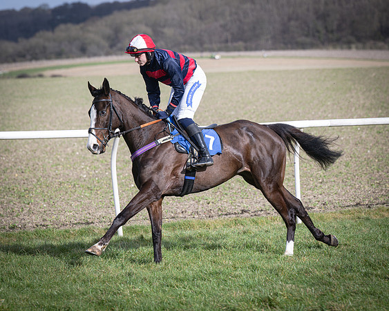 Race 3 - The Maiden Conditions (70 of 214)