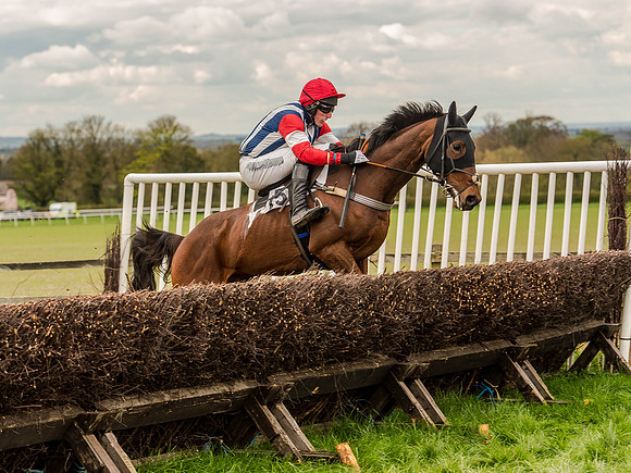 Race 3 - Young Horse maiden 2m5f (71 of 124).jpg