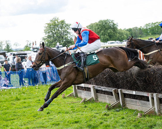 Race 5  - Maiden  (54 of 84)