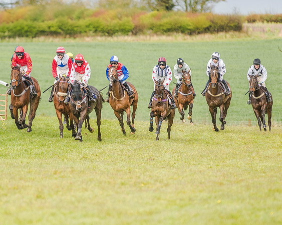 Race 5 - Open Maiden (85 of 147).jpg