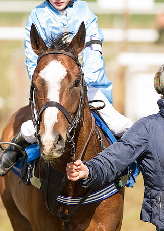 Pony Race 2 - 148cm  (38 of 49).jpg