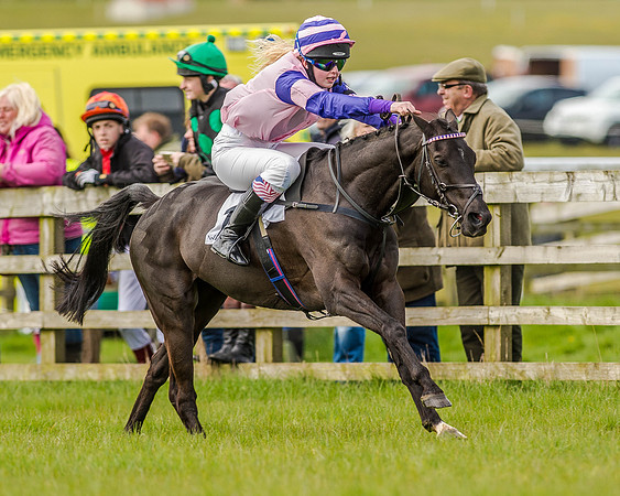 Pony Race 2 (38 of 77).jpg