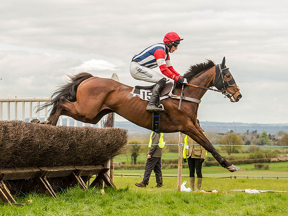 Race 3 - Young Horse maiden 2m5f (59 of 124).jpg