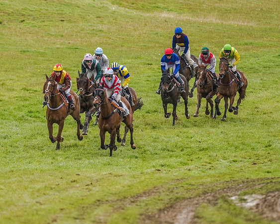 Race 5 - Restricted Race (46 of 146).jpg