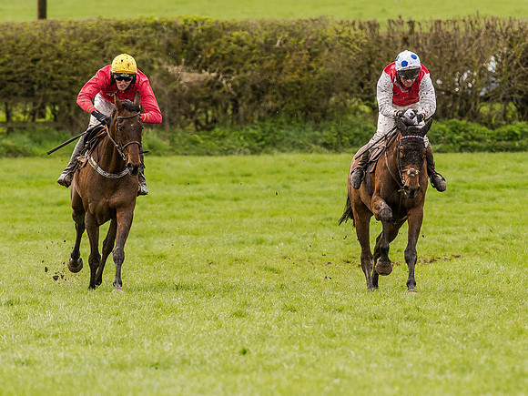 Race 1 - Confined Hunts (85 of 118).jpg