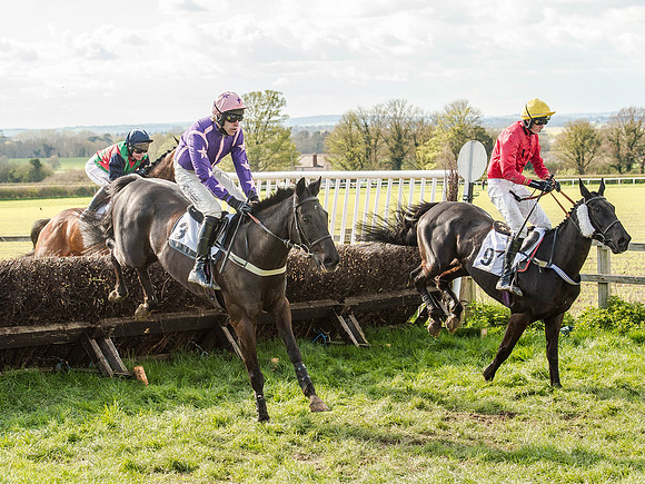 Race 5 - The Southern Grand national (37 of 96).jpg