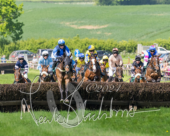 Race 2 - The Maiden  (134 of 442)
