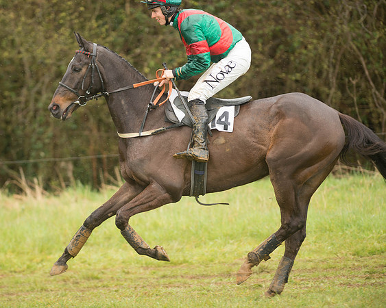 Race 5 - Open Maiden (28 of 147).jpg