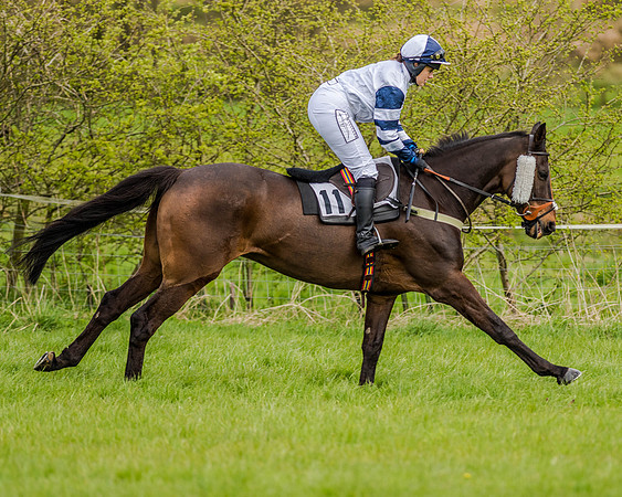 Race 7 - PPORA Members Conditions (55 of 192)