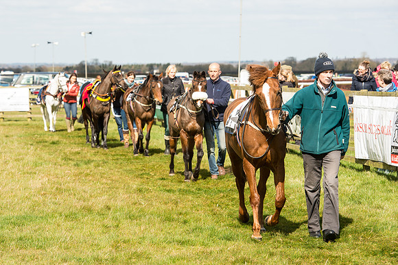 Pony Race 1 - 138cm -34