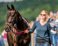Race 7 - Div 1 - Open Maiden (10 of 94).jpg