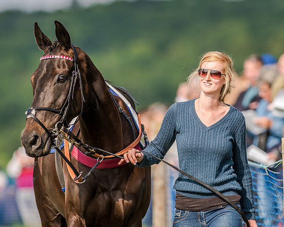 Race 7 - Div 1 - Open Maiden (10 of 94).jpg