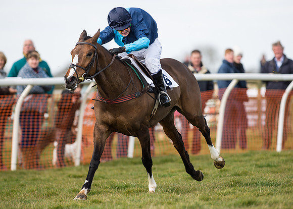 Pony Race 2 - 148cm -49