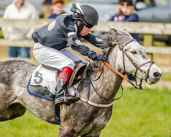 Pony Race 1  (47 of 65).jpg