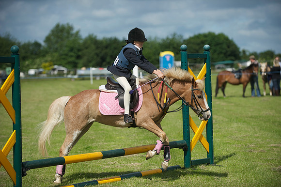SOHS PC Summer Show at BCA 17th June 2012