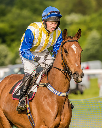 Race 7 - Div 2 - Open Maiden (60 of 163).jpg