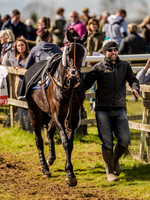 Race 4 - Ladies Open [Nov-Vet] (4 of 82).jpg