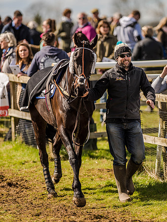 Race 4 - Ladies Open [Nov-Vet] (4 of 82).jpg