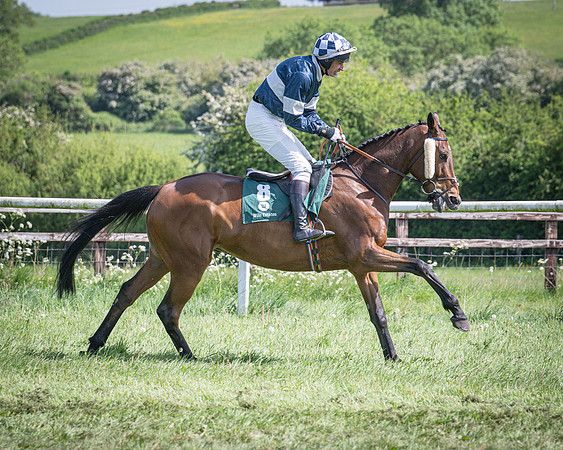 Race 3 - The mixed Open (14 of 69)