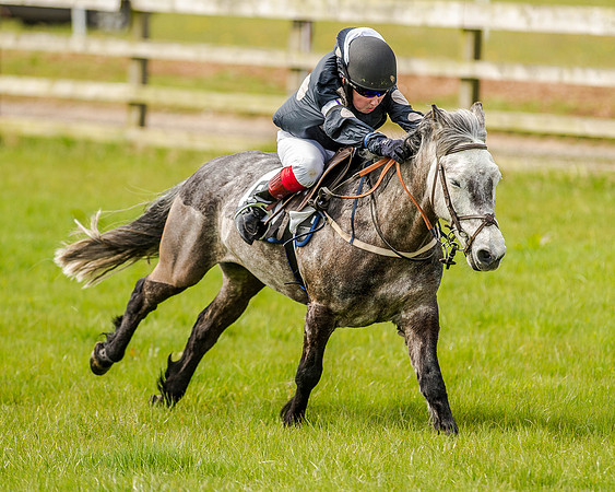 Pony Race 1  (43 of 65).jpg