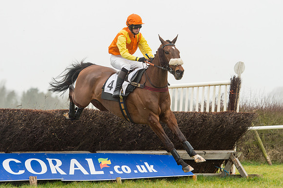 Race 1 - Confined Hunts (50 of 101).jpg