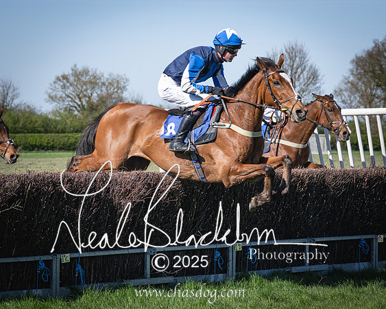 Race 6 - Veteran horse (71 of 109)