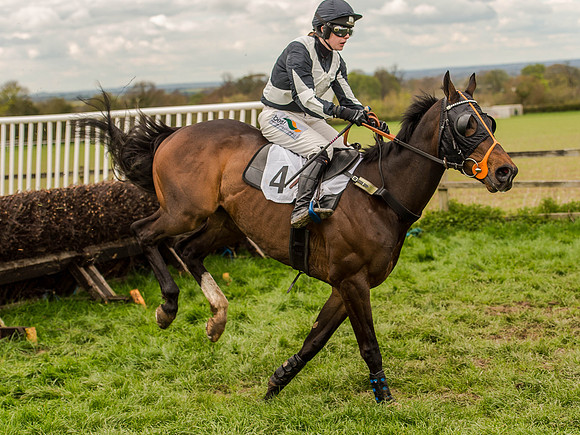 Race 3 - Young Horse maiden 2m5f (81 of 124).jpg