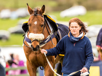Race 6 - Open Maiden Division 1  (16 of 133).jpg