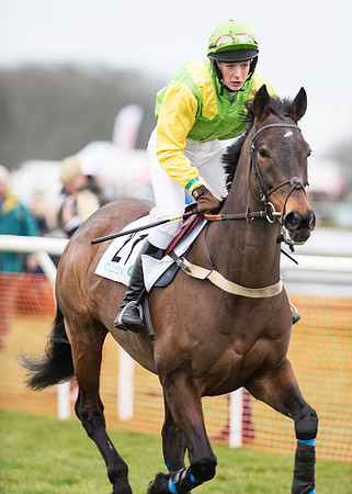 Race 7 - PPORA Novice Riders-24