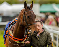 Race 1 - Hunt Members (8 of 90).jpg
