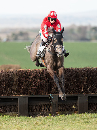 Race 6 - Open Maiden (51 of 110).jpg