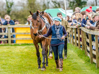 Race 2 - TBA Club Members Race for Mares and Fillies (5 of 108).jpg