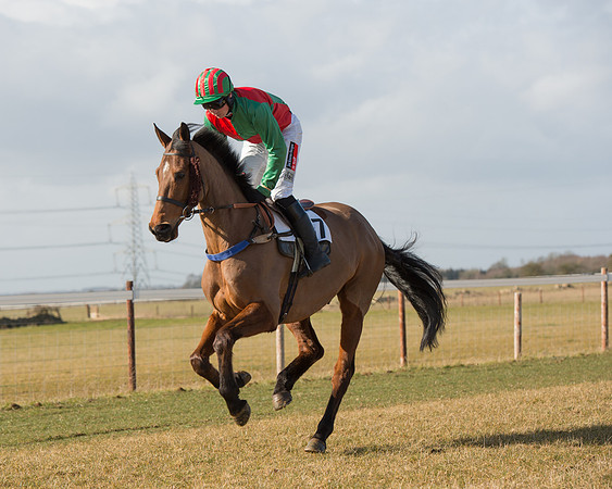 Race 1 - 4-5-6 Maiden (41 of 119).jpg