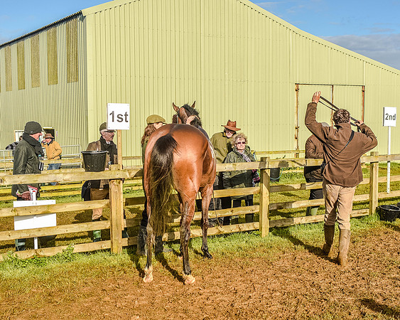 Race 7 - PPORA Club Members for Novice Riders (73 of 81).jpg
