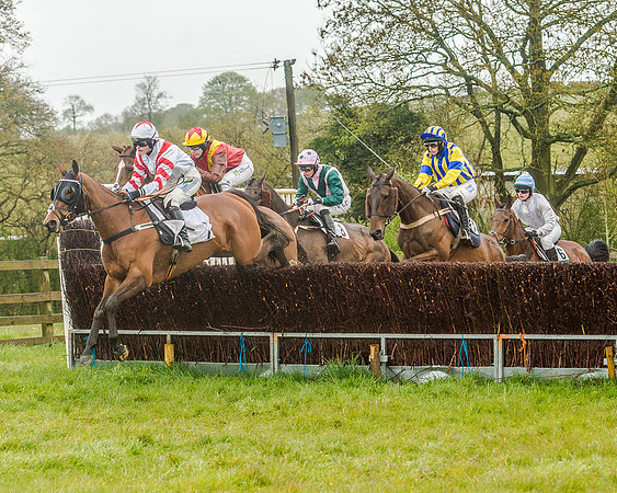 Race 5 - Restricted Race (52 of 146).jpg
