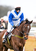 Race 7 - PPORA Novice Riders-19