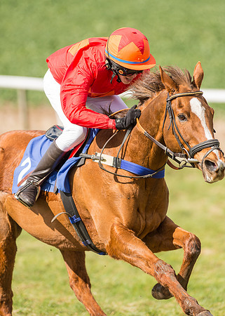 Pony Race 2 - 148cm  (36 of 49).jpg