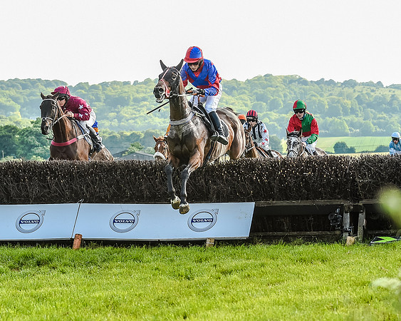 Race 7 - Div 1 - Open Maiden (31 of 94).jpg