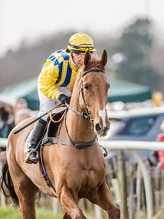 Race 4 - PPORA Club Members for Novice Riders (35 of 131).jpg