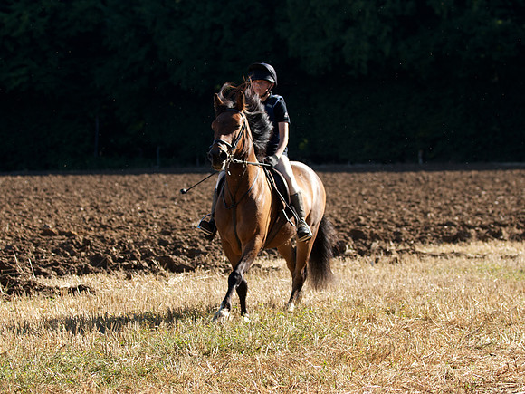 CEC-Sponsored Ride - 18