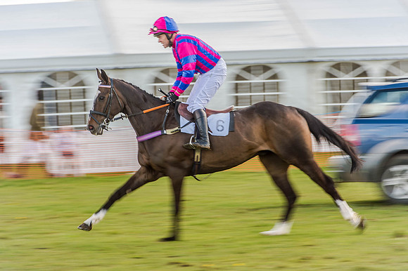 Race 6 - The Restricted Race [Nov-Vet] (34 of 84).jpg
