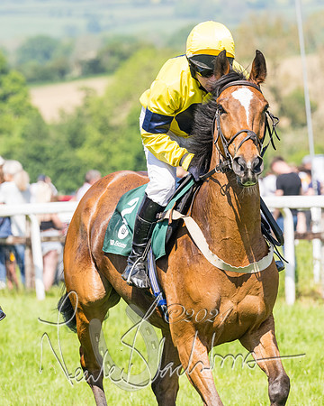 Race 2 - The Maiden  (21 of 442)