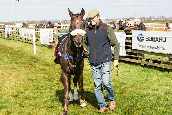 Pony Race 1 - 138cm -43