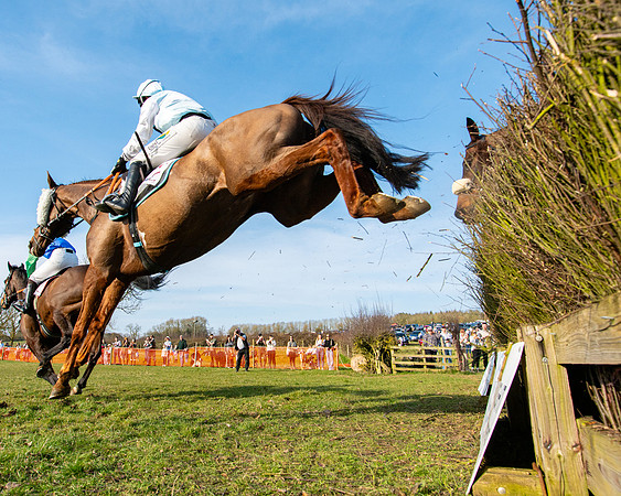 Race 5 - PPORA Five years and over (111 of 163)