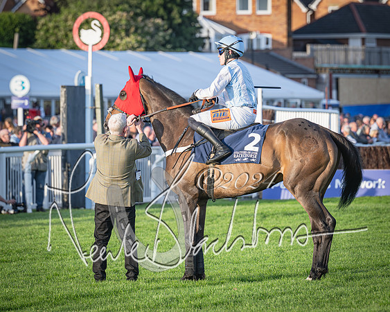 Race 5 - tipsterreviews.co.uk handicap (21 of 107)