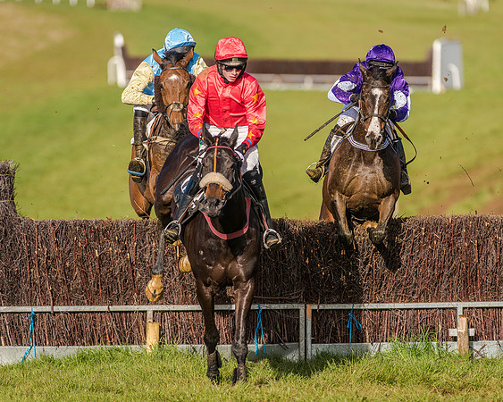 Race 7 - PPORA Club Members for Novice Riders (52 of 81).jpg