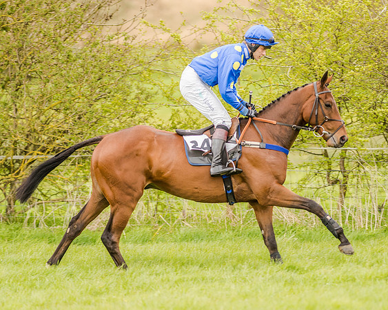 Race 2 - Open Maiden  (51 of 170).jpg