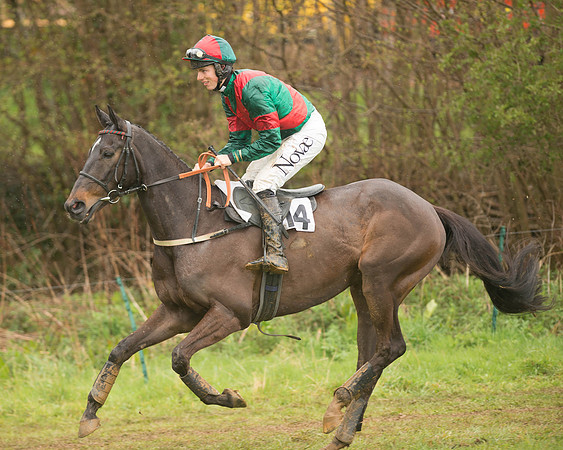 Race 5 - Open Maiden (27 of 147).jpg