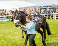 Race 4 - PPORA Novice Riders (11 of 196).jpg