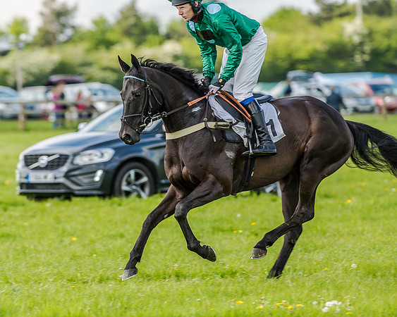Race 4 - PPORA Novice Riders (64 of 196).jpg